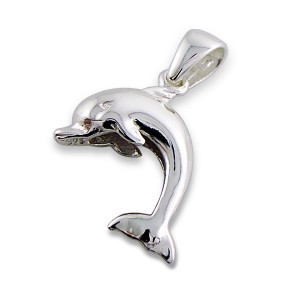 Silver 3D Dolphin