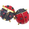 Ladybird Ladybird Brooch