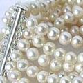 Pearl Revelation Bracelet