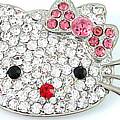 Pretty Kitty Big Brooch