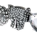 Silver Tiger Bright Knuckle Duster