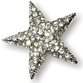 You're a Star Brooch