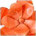 Coral Camelia Brooch