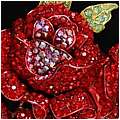 Roses are Red Brooch