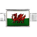 Welsh Dragon FlagTie Bar